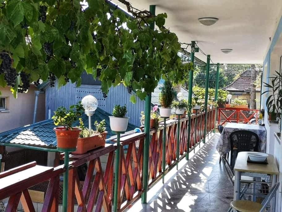 Hotel Casa Vinco Vici Turda Exteriér fotografie